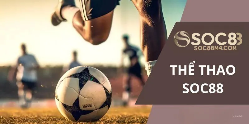 Giới Thiệu Về Sảnh Thể Thao Soc88